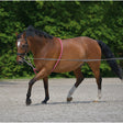 Lunging Aid