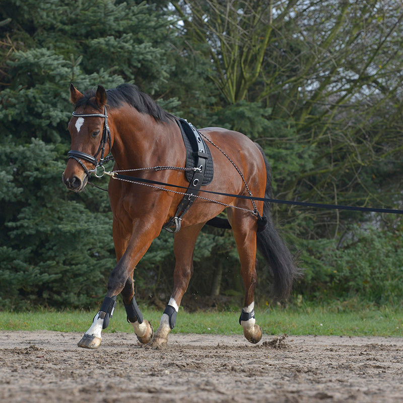 Lunging System - Cob/Full - Black