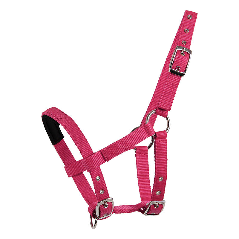 Mini Shetland Halter