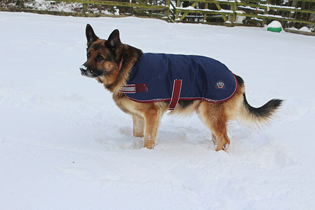 Mackey Buster Dog Coat