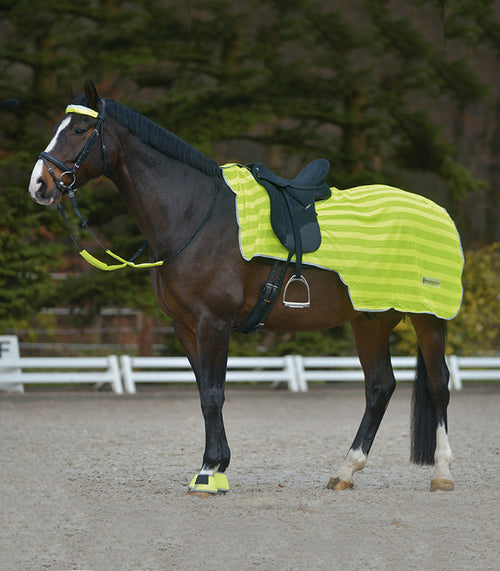 Hi-Viz Summer Sheet
