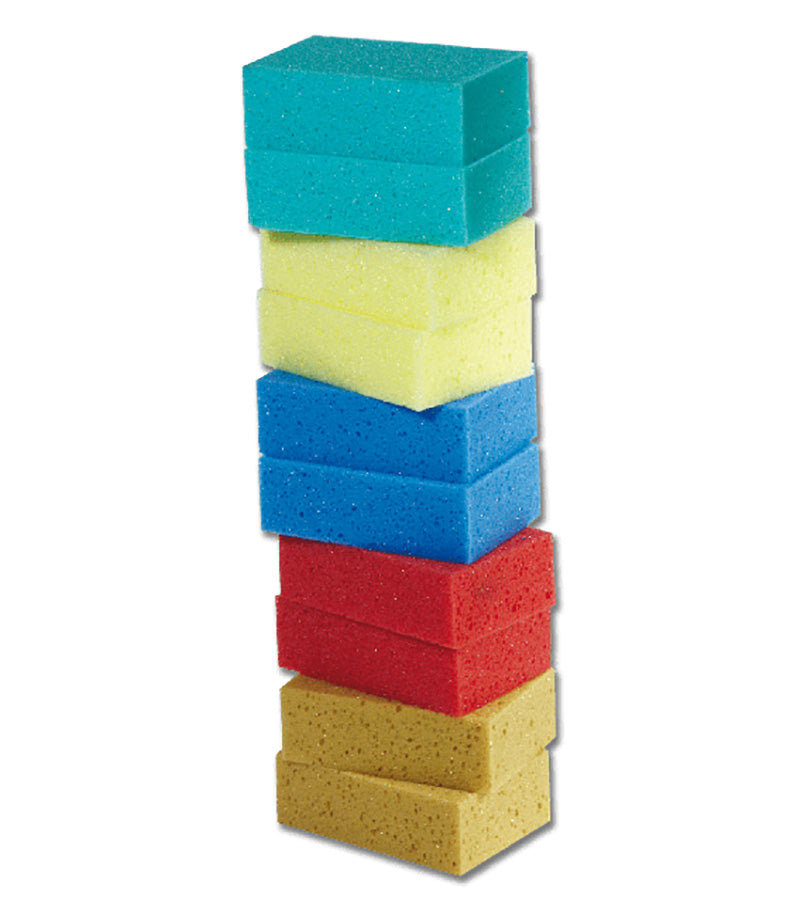 All Purpose Sponge - Pack of 10 - Assorted