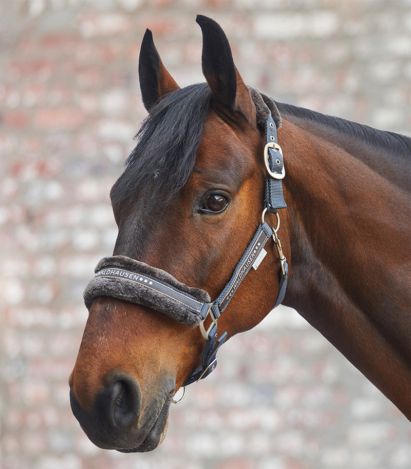 Elegant halter