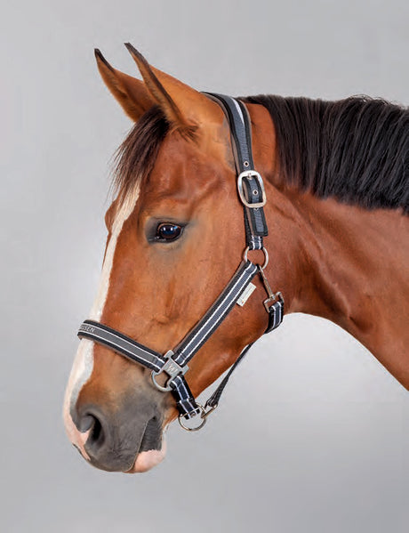 Esperia Two Halter
