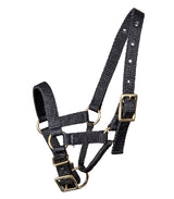 Alpaca halter