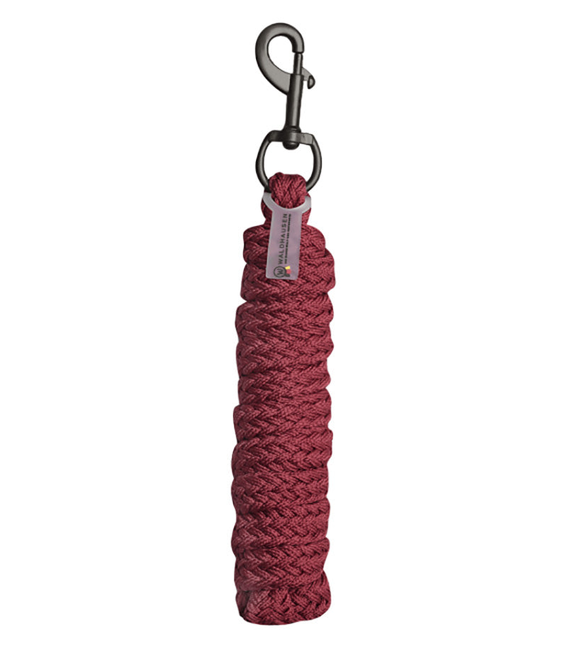 Gloomy Lead Rope