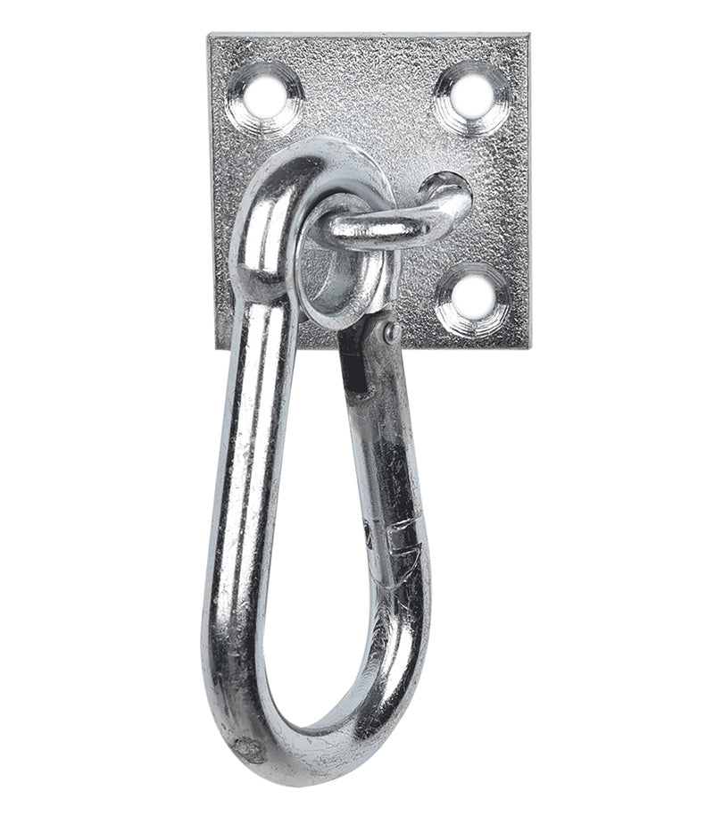 Carabiner Hook On Wall Plate