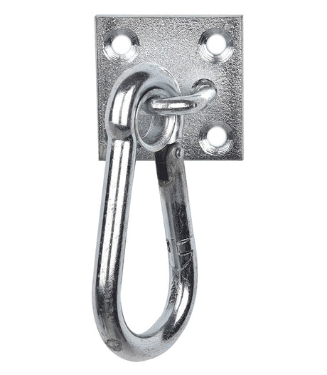 Carabiner Hook On Wall Plate