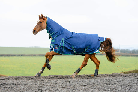 Keadeen Plus Lightweight Turnout Rug