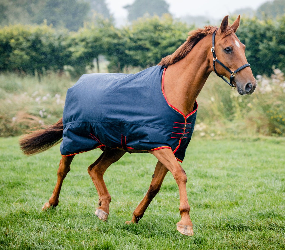 Equi-sential Turnout Light