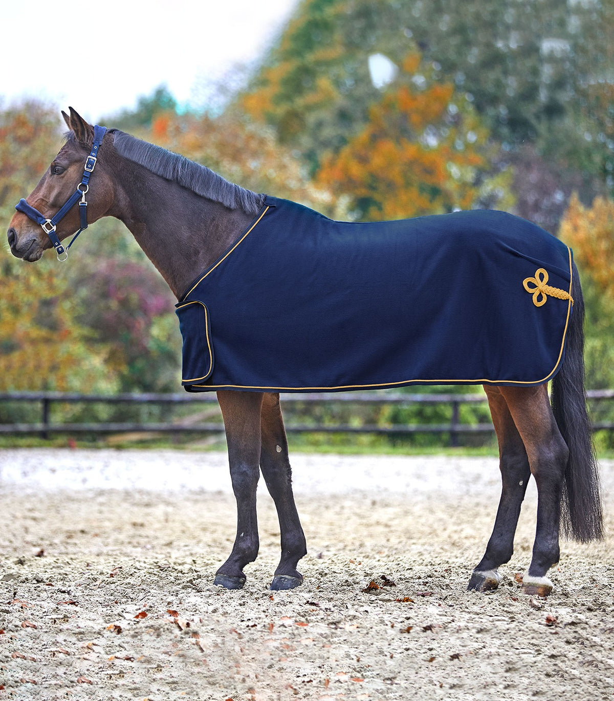 Fleece Sponsor Rug