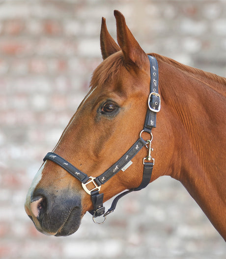Little Horse Halter