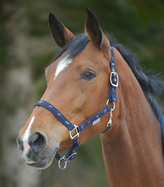 Little Horse Halter