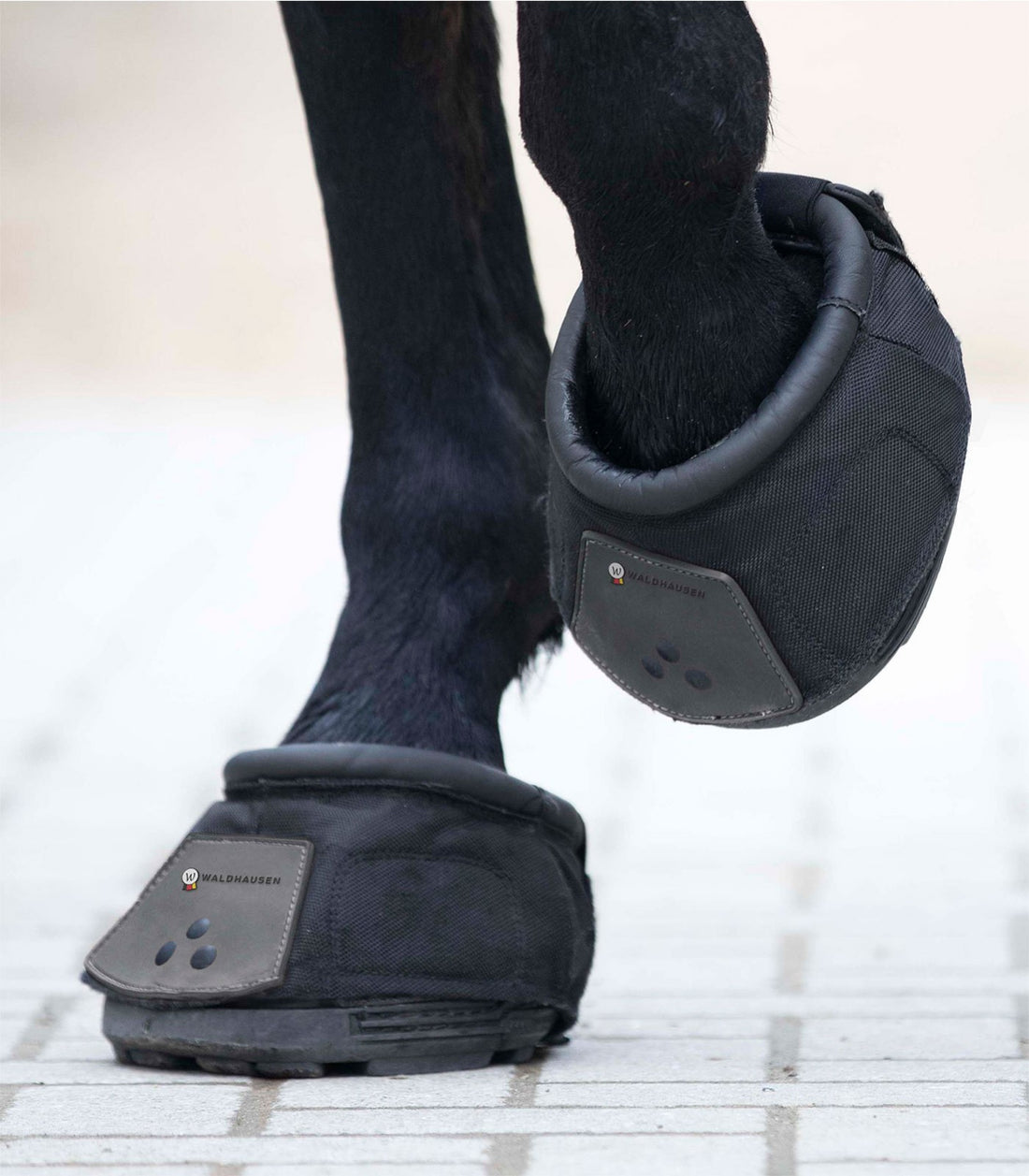 Hoofboot
