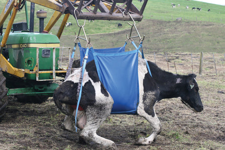 Daisy Lifter Heavy Duty