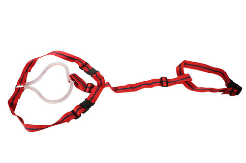 Prolapse Bearin Harness