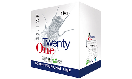 Twenty One