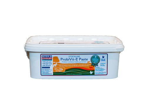 Provibit - E Paste 30gSyr