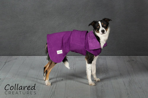 Collared Creatures Dog Drying Coat - Purple - 40cm