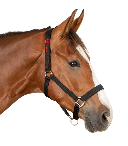 Safety halter- Full