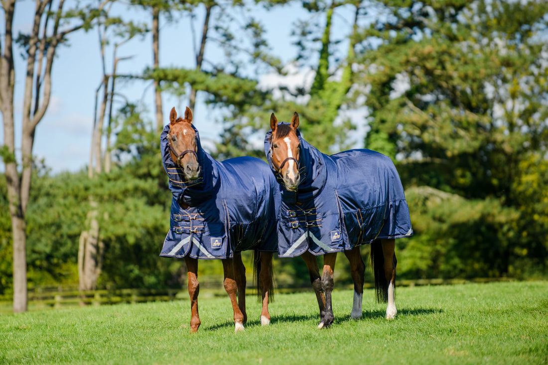 Wicklow Heavy Turnout Rug