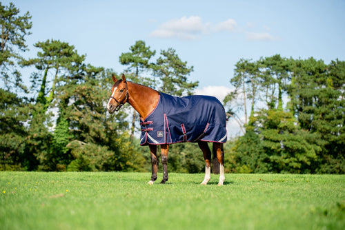 Keadeen Standard Turnout Rug
