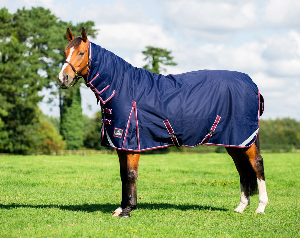 Keadeen Plus Turnout Rug