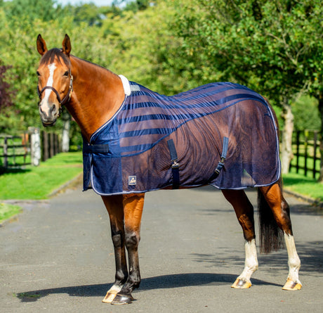 Equi-Sential Net Cooler