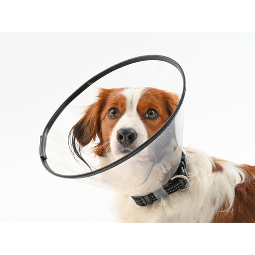 Buster Comfort Collar - 30cm