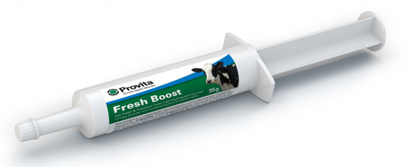 Provita Fresh Boost Syringe