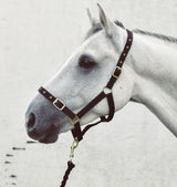 Economy Web Headcollar