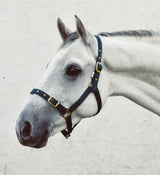 Economy Web Headcollar