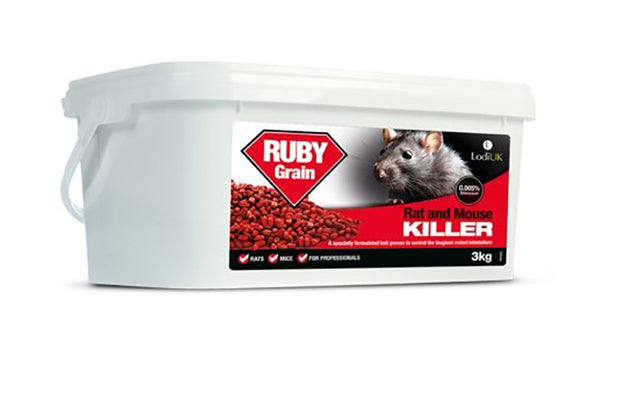 Lodi Ruby Grain