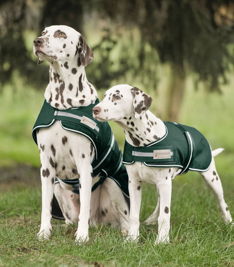 Dog Raincoat - 35cm