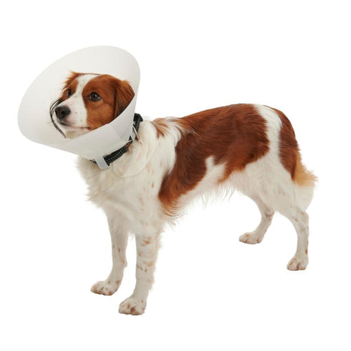 Classic Buster Collar