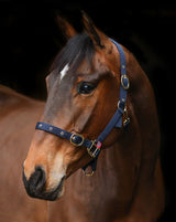 Equi-Senital Nylon Clip Headcollar