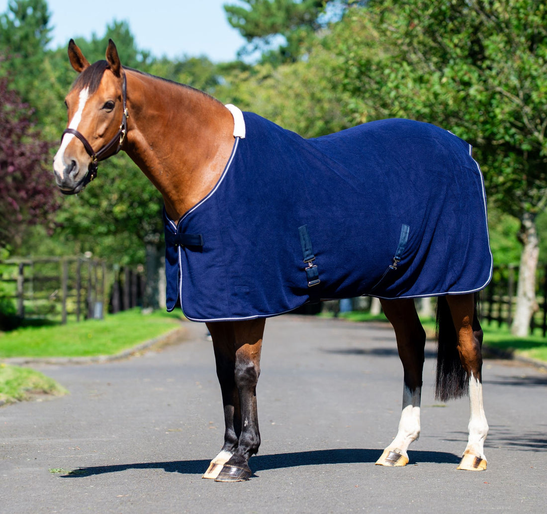 Equi-sential Fleece Cooler