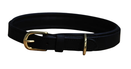 Mackey Padded Leather Dog Collar -Black - Large 21"