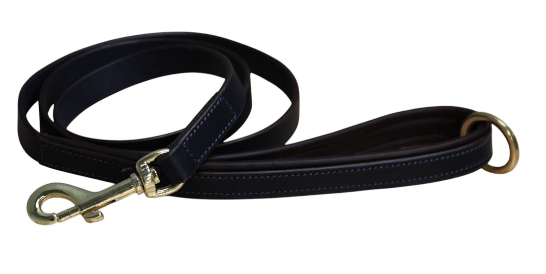 Mackey Padded Dog Lead