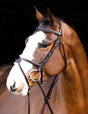 Mackey Classic Padded Grackle Bridle