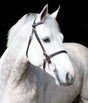 Mackey Classic In-Hand Bridle