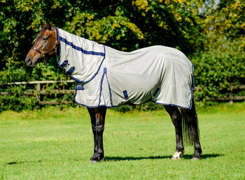 Equi-Sential Fly Rug