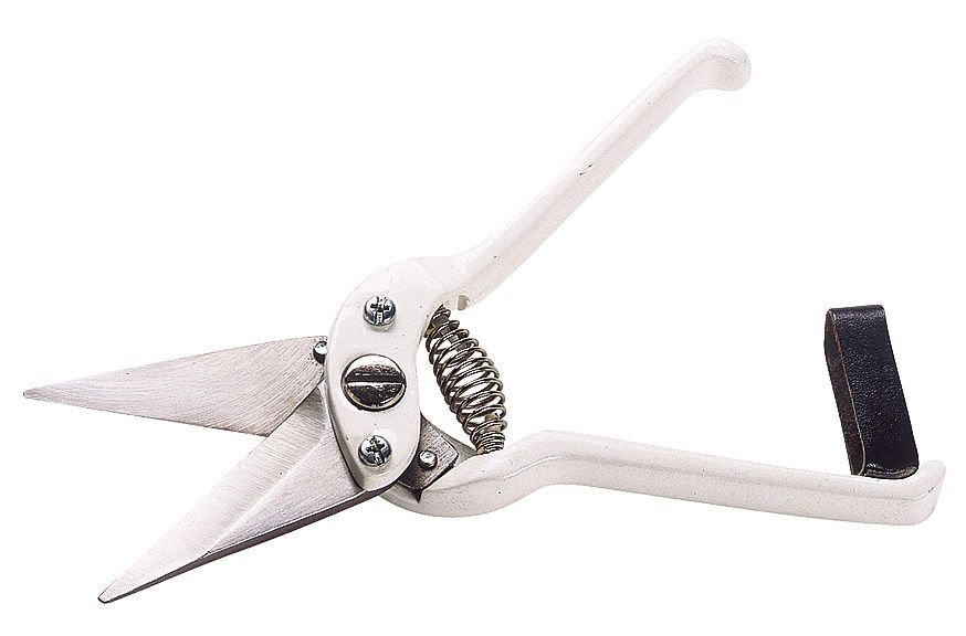 Agri Footrot Shear - Plain