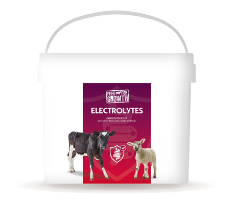Feed for Growth Electrolytes - 5kg