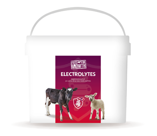 Feed for Growth Electrolytes - 5kg