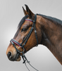 Star Diamond Bridle
