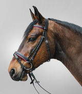 Star Diamond Bridle