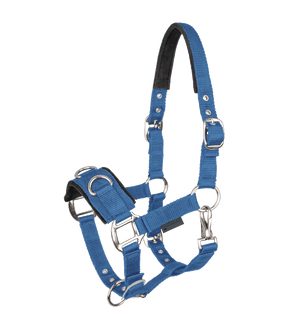 Economic Lunging Halter