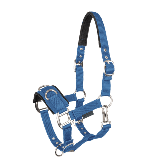 Economic Lunging Halter