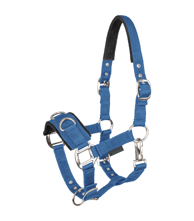 Economic Lunging Halter